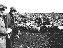 North Ronaldsay in the thirties. © The Orkney Library