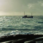 North Ronaldsay fishing boat off shore. Photograph © Selena Arte