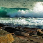 North Ronaldsay wave and seals. Photograph © Selena Arte