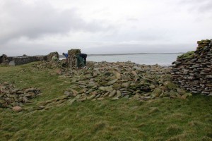 NR Dyke 2001. Photograph © Kevin Woodbridge