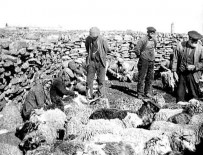 North Ronaldsay in the thirties. © The Orkney Library