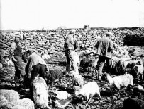 North Ronaldsay in the thirties. © The Orkney Library