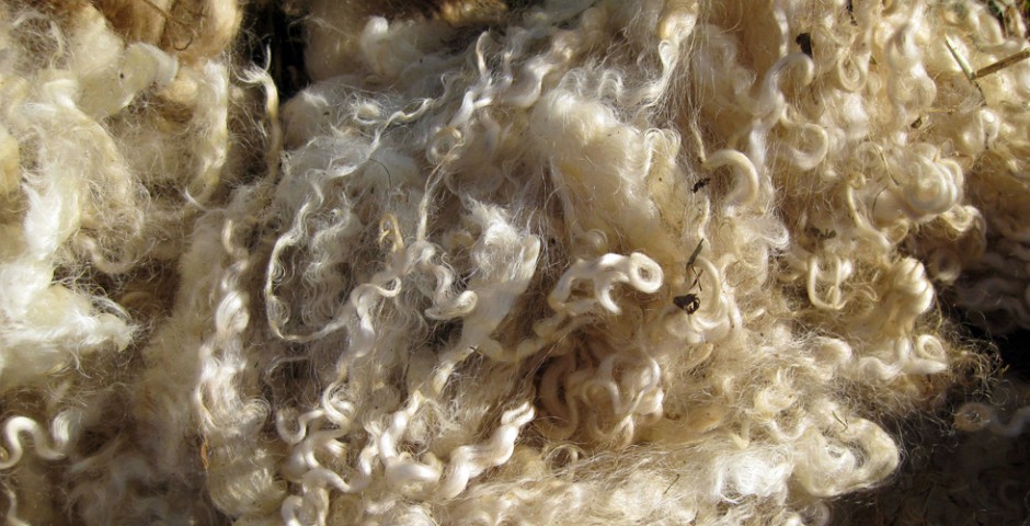 Wool